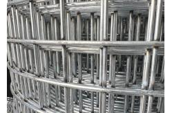 China 5x5 Welded Wire Mesh For Bird Cage Rabbit Chicken Pet Cage supplier