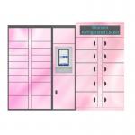 Smart Frozen Refrigerated Automated Locker Touch Screen Service Eggs Lockers for sale