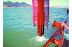 China 200kN Bottom Feeding Electrical Vibroflot Bottom Vibro Flotation Replacement Construction supplier