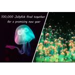 New Year Toy Firework Jellyfish Consumer Novelty Fireworks Skyshots Pyrotechnic for sale
