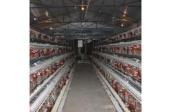 China 4 Tiers Poultry Farm Egg Layer Battery Chicken Cage With Automatic Nipple Drinker supplier