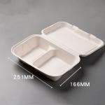 Food Packaging Sugarcane Bagasse Lunch Box Containers For Salad for sale
