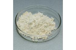 China Baking Alpha Amylase Powder 5000SKB-100000SKB Providing Enzyme Preparation Sample supplier
