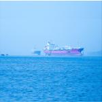 International Sea Freight Forwarding DDP From China To Indonesia for sale
