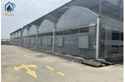 China Vegetables And Herbs Multi Span Greenhouse Durable Greenhouse Structure supplier