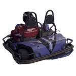65km/H 48 Volt Electric Go Kart 2 Seater APP Adjustment Control for sale