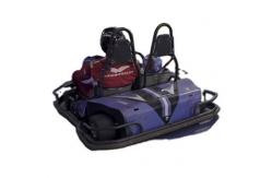 China 65km/H 48 Volt Electric Go Kart 2 Seater APP Adjustment Control supplier