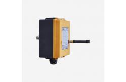 China Telecontrol Radio Remote Control System F23-BB 10 Pushbuttons Remote Crane Controller supplier