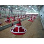 Automatic Feeding System For Poultry Chicken Feeding Line 10 Liters Capacity