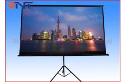 China Large Motorized Projector Screen , Electric Pull Down Projector Screen supplier