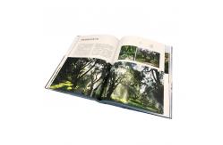 China 8.5x11 Hardcover Book Printing Services , Offset Book Printing Soft Cover supplier