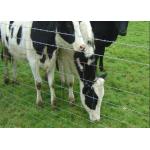 Galvanized Livestock Prevent Hinge Joint Page Wire Farm Field Fence for sale
