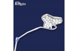 China 120000 Lux Medical Examination Light Wall Mounted For Pet Equipment supplier