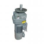 RF Series Transmission Worm Helical Bevel Gearbox Reducer Electric Motor