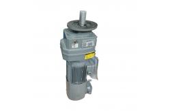China RF Series Transmission Worm Helical Bevel Gearbox Reducer Electric Motor supplier