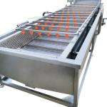 Automatic Fruit Washer 400kg 500kg/H Vegetable Bubble Washing Machine for sale
