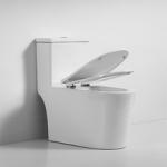 Ceramic Siphonic Flushing Toilet One Piece Sanitary Ware Bathroom Toilet