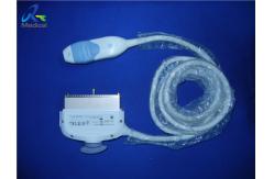 China GE 3V-D Volume 4D Cardiac Ultrasound Transducer Probe/ Sonography/Scan Test supplier