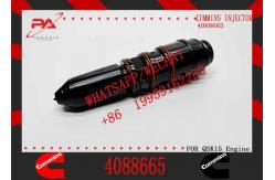 China Fuel Injector Assembly, Model 4088665 supplier
