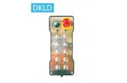 China Ten- way single speed switch industrial remote control supplier