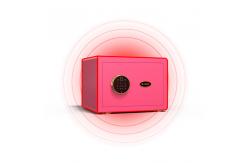 China H250mm Solid Bolts Home Safe Box Fingerprint Lock With Hammer Surface treatment supplier