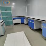 Easy Installation Laboratory Wall Bench Modern Solution for Lab Work for sale