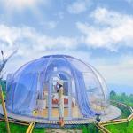 Customized Igloo Bubble Tent Strong Usability Picnic Bubble Tent for sale