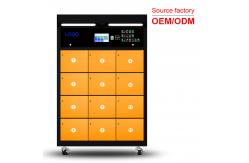 China High Power EV Battery Swapping Cabinet Station For Deliveryman ODM supplier