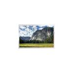 12.9 inch C129HAX01.0 1080p LCD screen for Automotive Display for sale