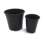 Light And Soft Black Double Color Plastic Flower Pots Chive Shoot Seedling Nutrition Pot for sale