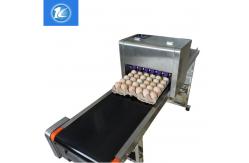 China Automatic Egg High Resolution Inkjet Printer With ABC Standard Printing Font supplier