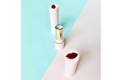 China Customized 3.5g-5g Empty Packaging for Lipstick Tube With Seal Ring supplier