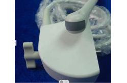 China Mindray 65EC10EB Endocavity Vaginal Ultrasound Transducer Probe For DP-7700 / 3300/ 10 supplier
