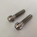 Customized Titanium Gr2 gr5 Torx Socket Head Bolts Screws for Bicycle Brake for sale