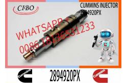 China FUEL INJECTORS 2894920 2894920PX 2894920 2897320 1948565 1933613 2029622	2030519 supplier
