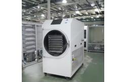 China Freeze Dryer Lyophilization Machine Vacuum Freeze Dryer  Lyophilizer Dryer Fruit Freeze Dryer supplier