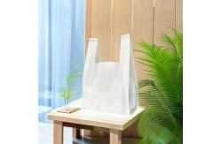 China Promotion Fruit Compostable Biodegradable Shopping Bag Custom Made supplier