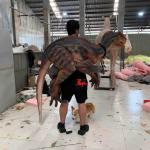 Handmade Soft Dino Hand Puppet  Adult Age Raptor Hand Puppet
