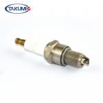 Champion RN2C Spark Plug  Iridium Tip replace RN79G / Denso GE3-1 GE3-5A / Bosch 731 for sale