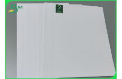 China High White Ivory Paper FBB Board Sheet 255g / 305g Virgin Pulp supplier