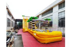 China ODM Outdoor Inflatable Water Slides Giant Long Palm Tree Bounce House supplier