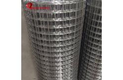 China 6ft Width Electric Fusion Hot Dipped Galvanized Wire Mesh 19 X19x1.6mm Dia supplier