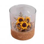 Toxicless Odorless Glass Jar Cork Wood Base Groove 2.5 Inch for Micro Landscape for sale