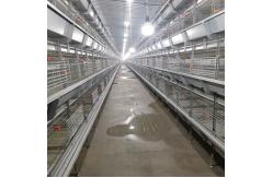 China Big Size 85*62.5*50 Cm Broiler Chicken Cage Baby Chick Used supplier