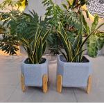 Charcoal Oven Fiber Clay Planter Keep 5-6 Years Outdoor for Camping Burners Heater for sale