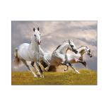 Running Black Horses Image 3D Lenticular Pictures For Advertisement
