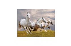 China Running Black Horses Image 3D Lenticular Pictures For Advertisement supplier