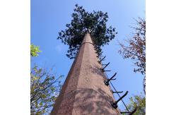 China 36m/s Hot DIP Galvanized 5g Mobile Cell Tower supplier