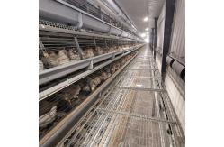 China 30000 Chicken Egg Layer Cages supplier