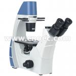 Ergonomic Phase Contrast Microscopy , Infinity Color Corrected Optical System A19.0901 for sale